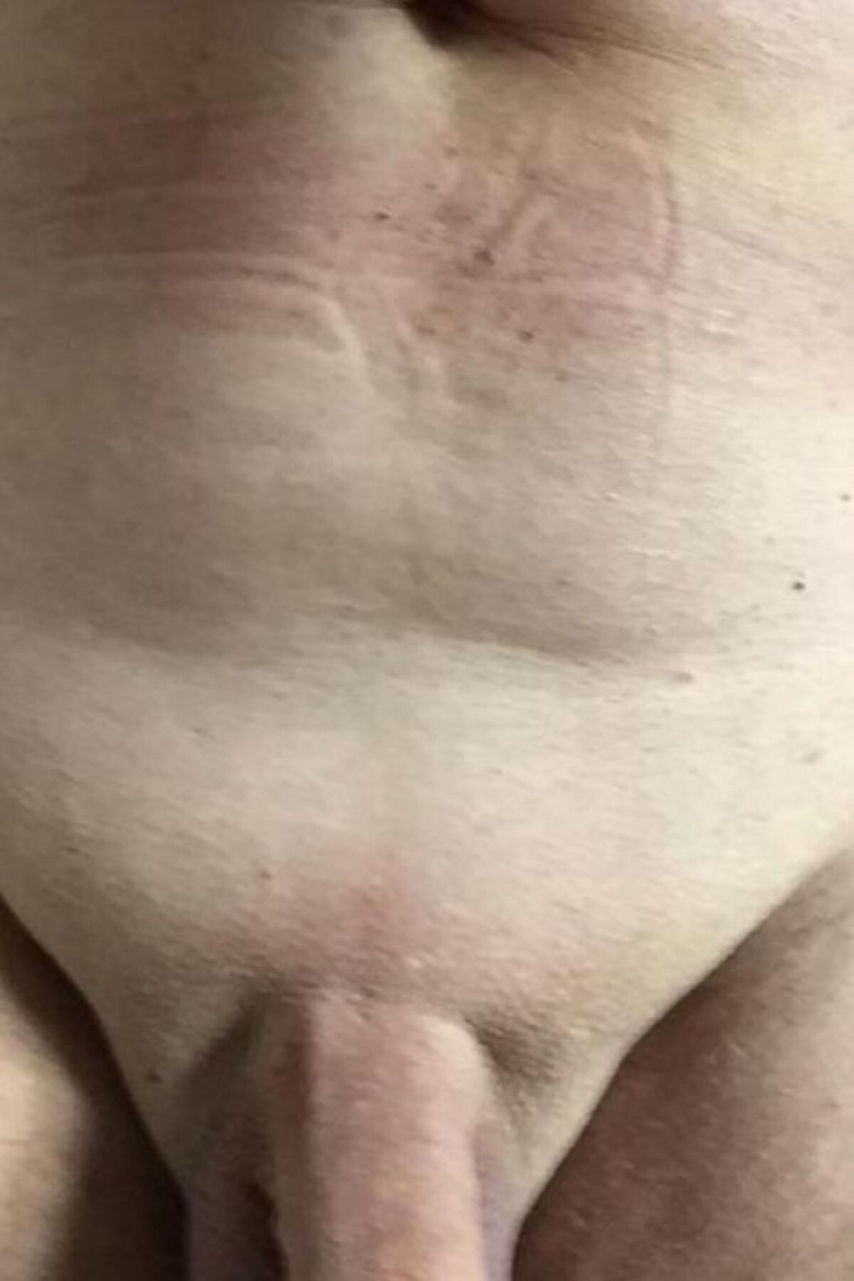HansL48