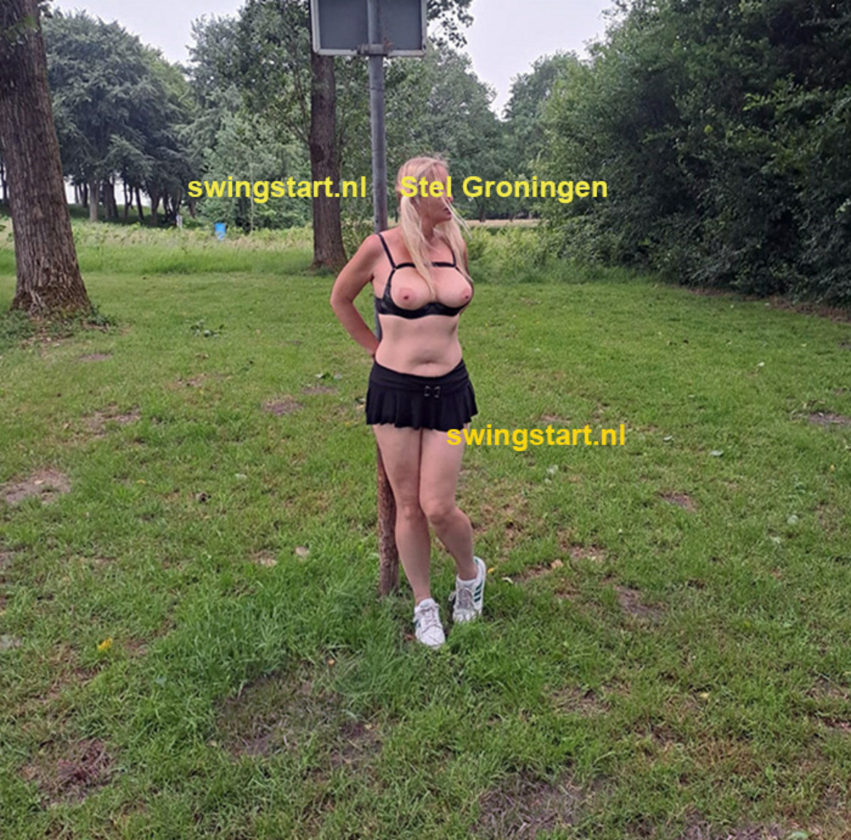 wijstel